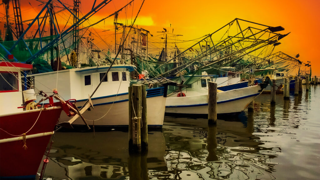 Shrimp boats in the Gulf (iStock image)