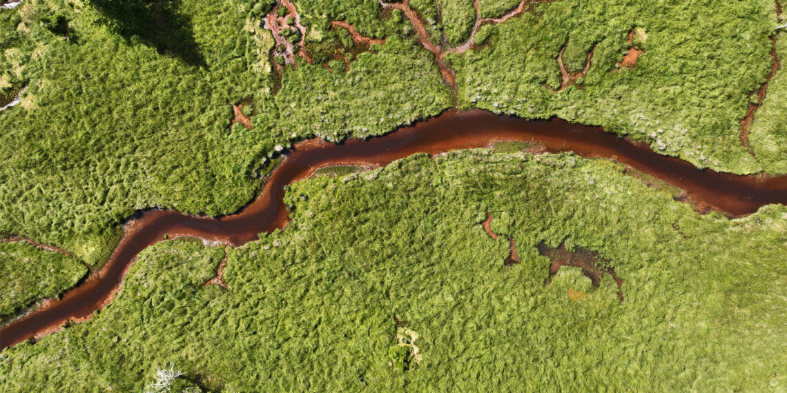 Increased carbon in runoff from land is turning freshwater darker. (Andrew P. Hendry via Flickr)