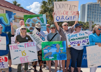 Environmental activists on Clearwater Beach on Saturday. (Photo by Mitch Perry/Florida Phoenix)