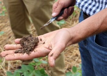 Soil is shown during a tour hosted by the Center for Regenerative Agriculture at the University of Missouri of a farm that uses regenerative practices such as cover crops. (USDA photo by Hannah Strain, Public domain, via Wikimedia Commons)