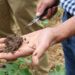 Soil is shown during a tour hosted by the Center for Regenerative Agriculture at the University of Missouri of a farm that uses regenerative practices such as cover crops. (USDA photo by Hannah Strain, Public domain, via Wikimedia Commons)