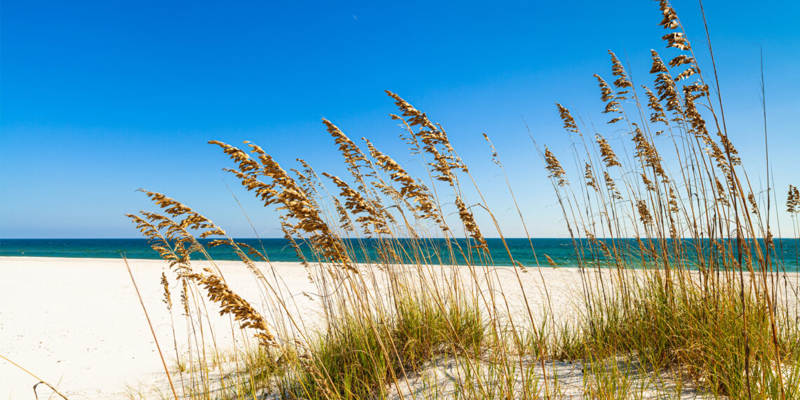 Perdido Beach State Park in Escambia County near Pensacola (iStock image)