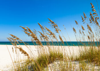 Perdido Beach State Park in Escambia County near Pensacola (iStock image)