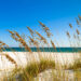 Perdido Beach State Park in Escambia County near Pensacola (iStock image)