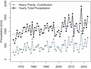 Data collected by scientists with Harvard Forest, near Petersham, Mass., from 1964 to 2023 shows how precipitation has been increasing, with a large percentage of it coming from downpours. (Samuel Jurado and Jackie Matthes, 2025, CC BY-NC-SA)