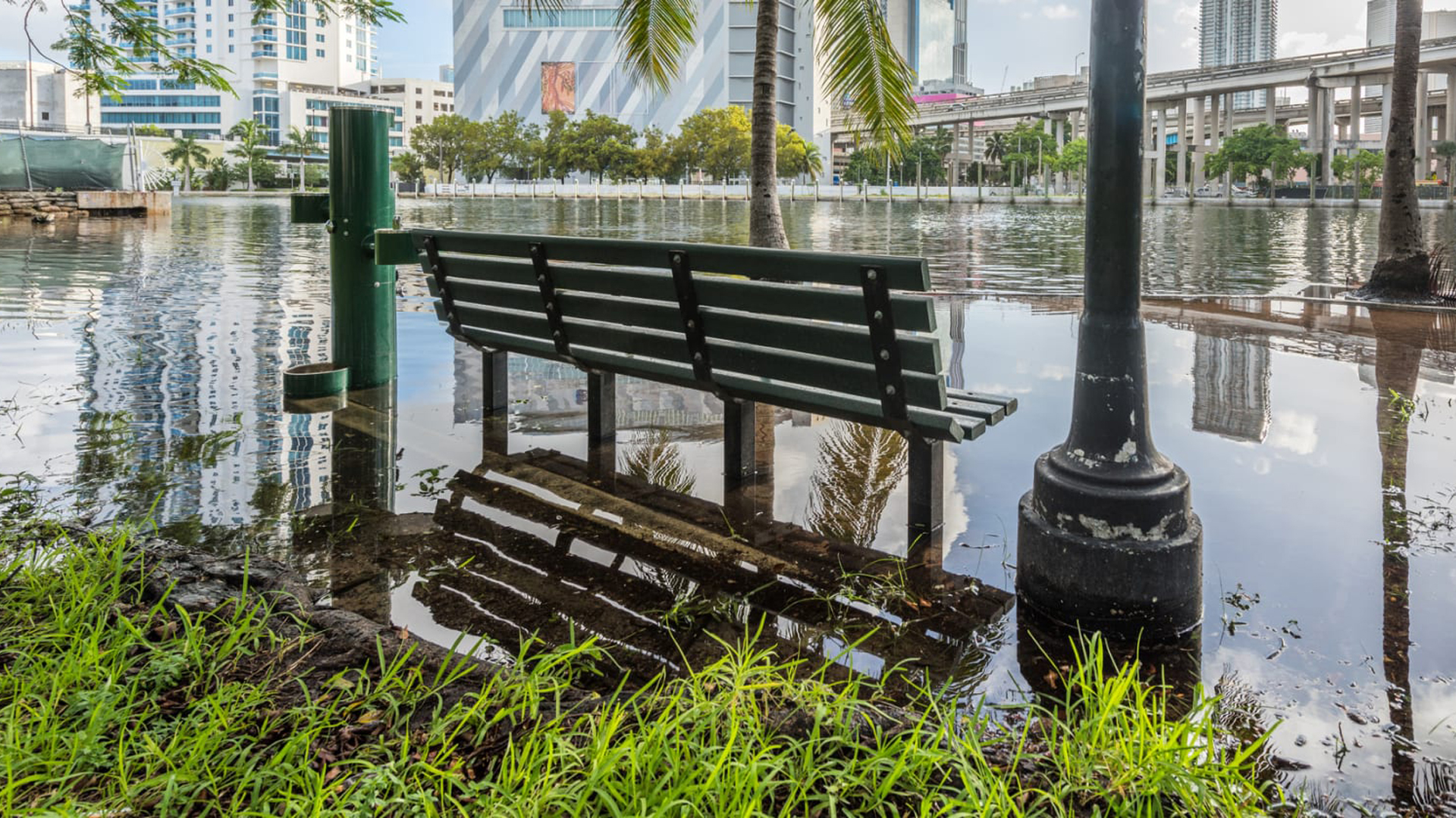 Offshore winds identified as a culprit in coastal floods, research finds