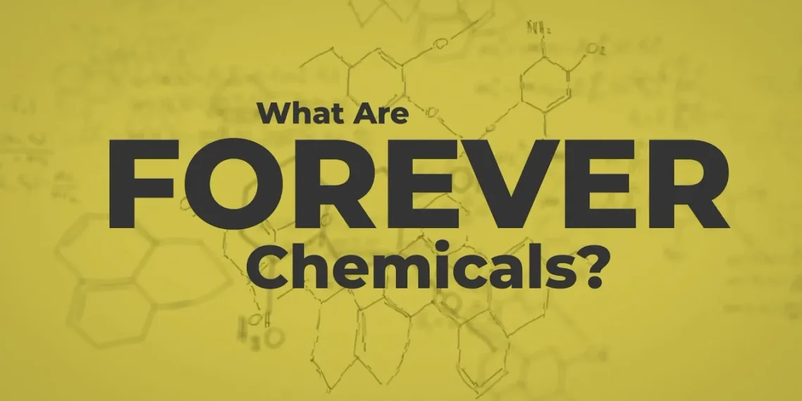 Screenshot from the bite-sized video, "What are forever chemicals?" (Robin Taber)