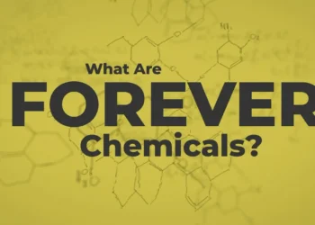 Screenshot from the bite-sized video, "What are forever chemicals?" (Robin Taber)