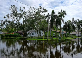 In fall 2024, Tampa and other Florida cities on the Gulf coast were hit by hurricanes Helene and Milton within 13 days of each other. (Giorgio Viera/AFP via Getty Images)