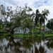In fall 2024, Tampa and other Florida cities on the Gulf coast were hit by hurricanes Helene and Milton within 13 days of each other. (Giorgio Viera/AFP via Getty Images)