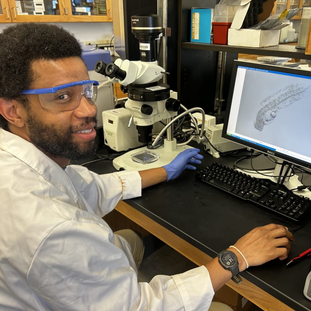 Recent FIU Ph.D. graduate and current Institute of Environment postdoctoral associate, Ariel Lawson has identified 18 key metabolites in yellowtail snapper embryos that signal a trio of shifts including liver and neural dysfunction, altered energy metabolism and associated oxidative stress. (FIU photo)