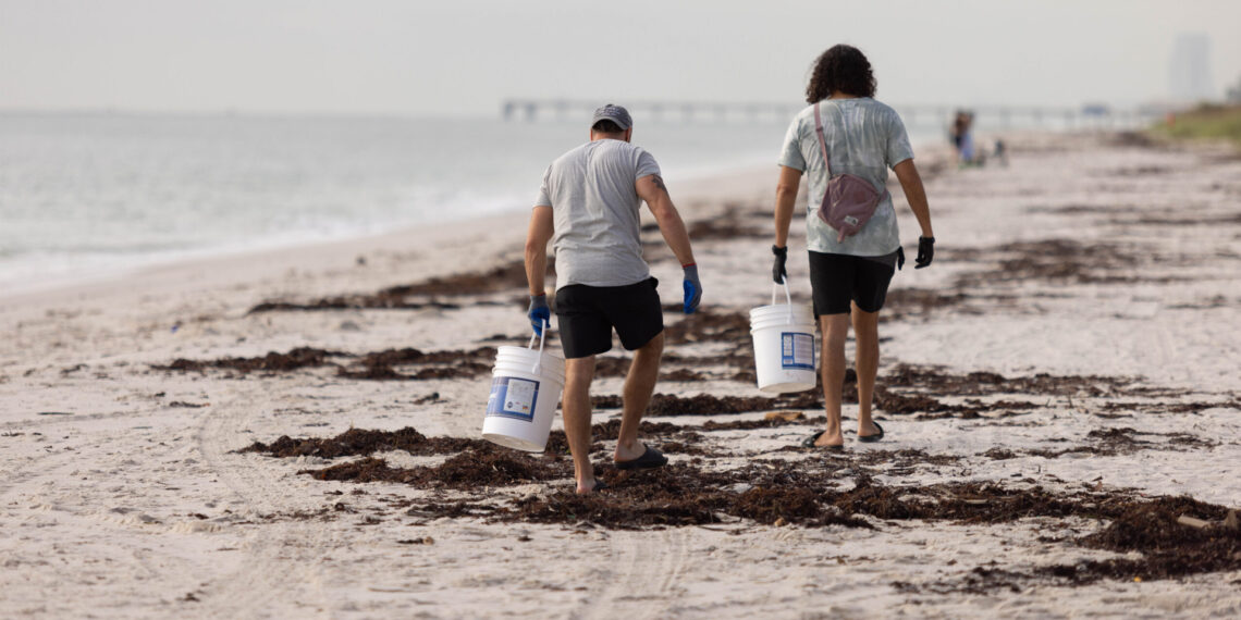 More than 1,800 people took part in 83 free events during Florida Climate Week, including both virtual sessions and in-person events such as a beach cleanup. (Photo credit: JC Campos)