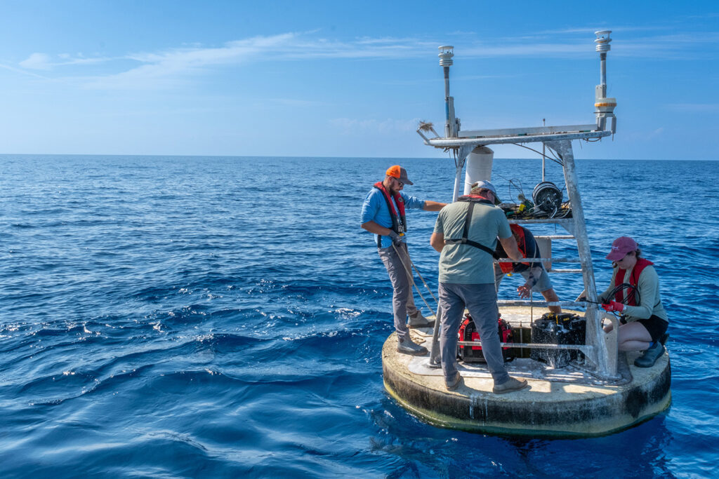 Researchers from the Ocean Circulation Lab service a buoy in the Gulf (Photo by Jackson Sullivan)